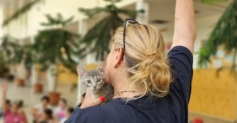 F&uuml;r Kinder &uuml;ber Katzen!