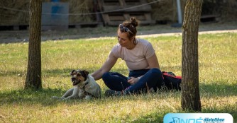 Ein sch&ouml;ner Tag im NOAH Tierheim Ungarn