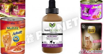 Es wird eng bei der Katzenrettung