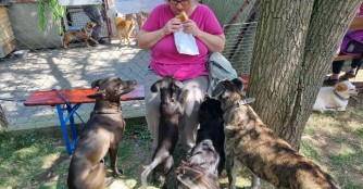 NO&Eacute; Fr&uuml;hlingsfest 2024