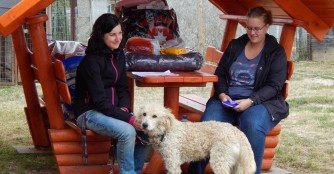 Kramanc zog aus Szerg&eacute;ny nach Deutschland