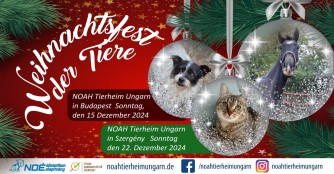 Einladung zum Weihnachtsfest der Tiere 2024
