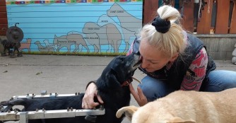 Ada hat endlich ihre Traumfamilie gefunden!