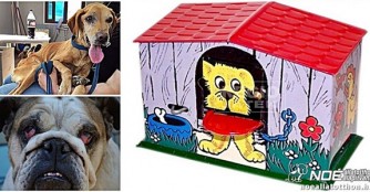 Wir brauchen Eure Hilfe um unsere Tierarztkosten zu bezahlen!