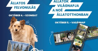 Welttierschutzwochenende in und mit dem NOAH Tierheim Ungarn