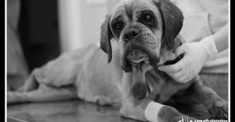 Antik hat es nicht geschafft :(