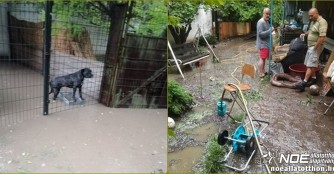Unsere Quarant&auml;nestation wurde vom Sturm &uuml;berflutet