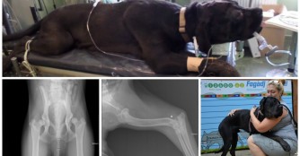 Athos... noch nie waren wir in einer solch schwierigen Lage :(