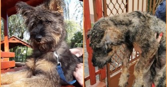 Bakfis steht kurz vor der Adoption :)