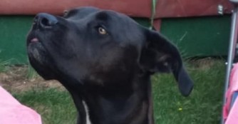 Gr&uuml;&szlig;e von Banya