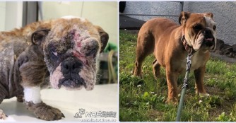 HappyEnd f&uuml;r Ny&iacute;rbog&aacute;ti B&oacute;bita