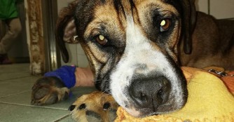 Weiterhin Sorge um Bors&oacute;!