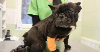 Brexit, unser neuester schwerer Fall