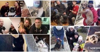 Vergangene Woche vermittelte Tiere