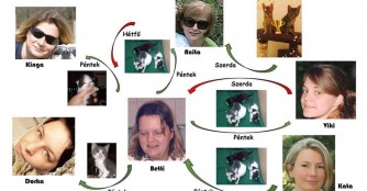 1+4 Babykatzen an einem Tag