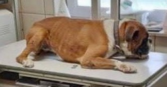 Denise ist schwer krank und hat alles verloren!