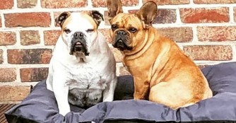 Gr&uuml;sse von Elliellie