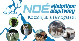 NO&Eacute;-Flagge macht sich  auf den  Weg auf den Mont Blanc