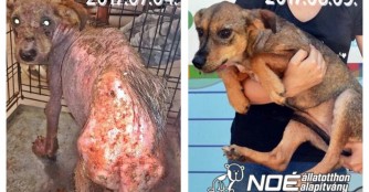 Flamingo unser neues Wunderkind :)