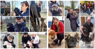 12 Hunde fanden vergangene Woche ein Zuhausse!