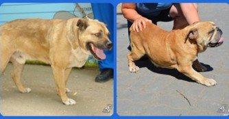 Grull und Marie Curie sind gut in Deutschland angekommen