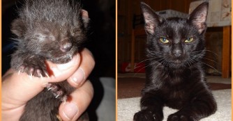 Kleine / gro&szlig;e Wunder, die uns Kraft geben