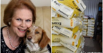 Riesige Futterspende f&uuml;r unser Tierheim in Szerg&eacute;ny!