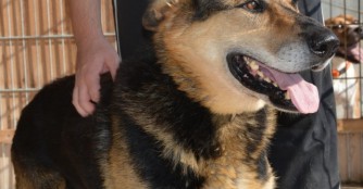 Jakob ist todkrank :(