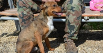 Jank&oacute; l&auml;sst gr&uuml;ssen! :)