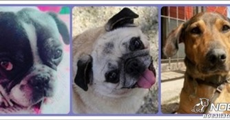 3 Happy Ends in Deutschland