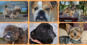 11 Auslands-HappyEnds im Januar 2017