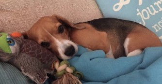 Gestatten, Jolan mein Name!