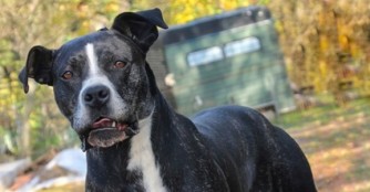 Heute habe ich einen Menschen gerettet