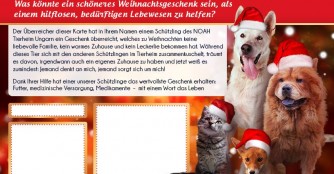 Weihnachtsspendenkarten, verschenke eine Gute Tat!