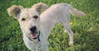 Kramanc und sein neues Leben!