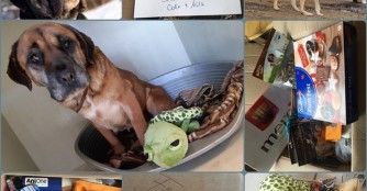 Wir haben Post bekommen :)