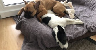 Lilly & Family gr&uuml;&szlig;en aus Wien!