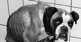 F&uuml;r Lizi kam leider jede Hilfe zu sp&auml;t :(