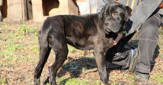 Lucas erholt sich von seinen Strapazen