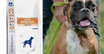 Maui ben&ouml;tigt Spezialfutter!