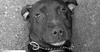 Mimi's Herz konnte einfach nicht mehr...