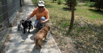 Ehrenamtliche Hilfe aus Deutschland :)