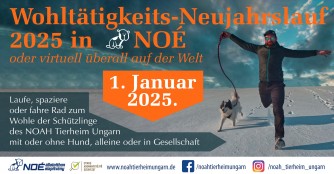 NO&Eacute; Wohlt&auml;tigkeits-Neujahrslauf 2025
