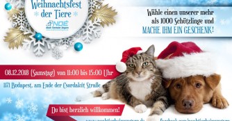 Weihnachtsfest der Tiere und Weihnachtsspendenaktion 2018