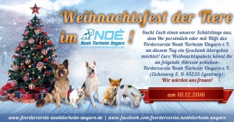 Weihnachtsfest der Tiere im NOAH Tierheim Ungarn