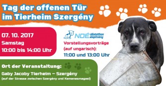 Tag der Offenen T&uuml;r im Tierheim Szerg&eacute;ny