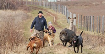 Ein Spaziergang der besonderen Art