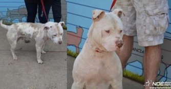 Peet geht es schon viel besser!