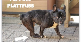 3 Auslandshappyends am Wochenende