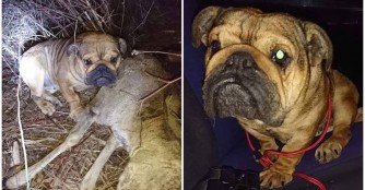 Polly Pocket suchte Schutz bei einem toten Reh